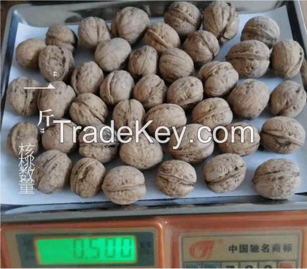 Walnut kernels, walnut in shell