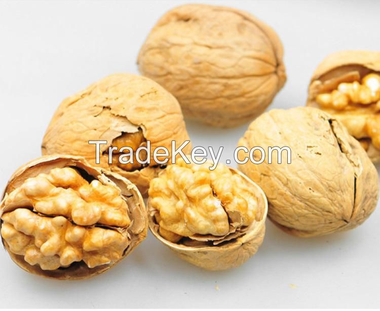 Walnut kernels, walnut in shell