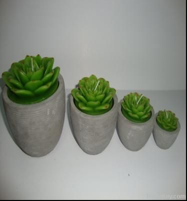 cactus plant flower paraffin wax candle with cement candle holder