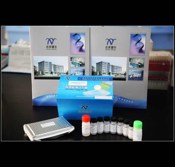 kanamycin Elisa kit