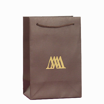 fancy paper  bag