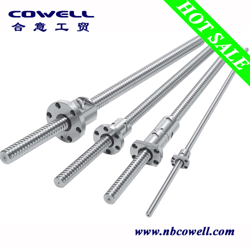 Rolled Ball Screw 