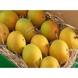 Alphonso Mango