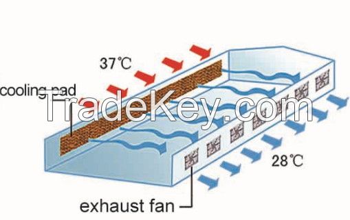 Evaporative Air Cooling Pad System