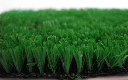 Sports Grass