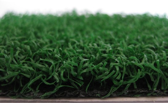 Sports Grass