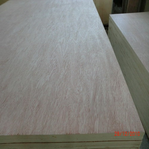 bintangor plywood