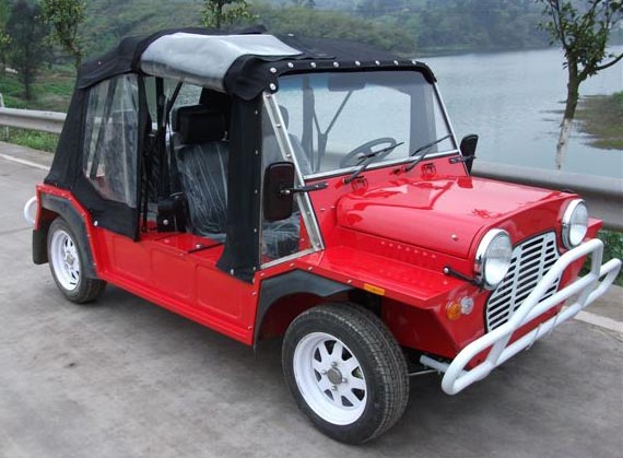 Bigmt Electric Mini Moke