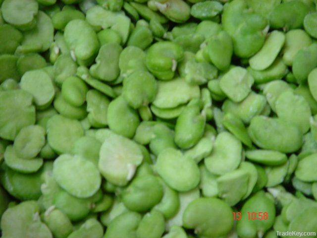 Frozen Fava Beans