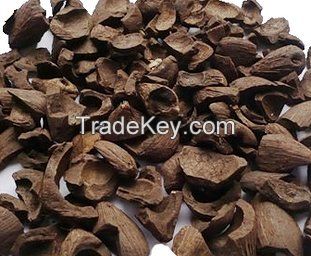 Palm Kernel Shell