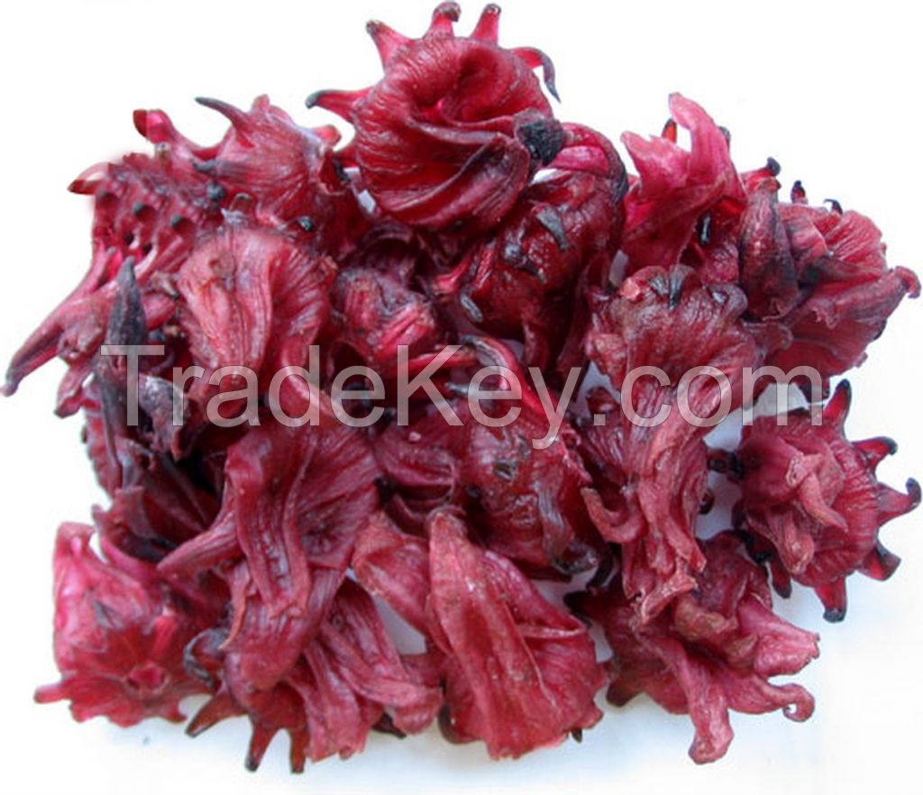 Dry Hibiscus Flower