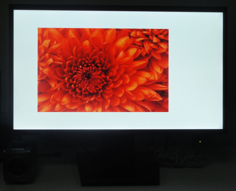 22&quot; High Brightness LED Monitor