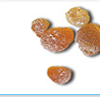 Arabic Gum , Gum Acacia