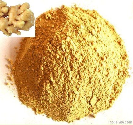 dehydrated ginger powder
