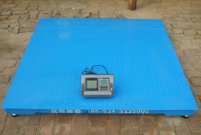 Floor Scale