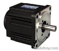 Blushless DC Electric Motor