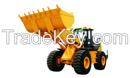 Wheel Loader LW500F