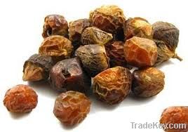 Certified Organic Soapnut Shells