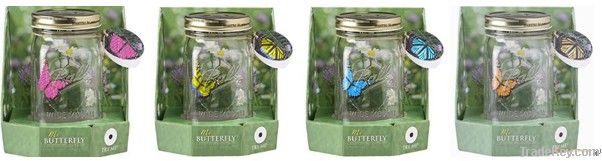 Butterfly Jar Craft Glass