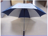 FU-0011 30&acirc;*8K Auto open golf umbrella(double layers)