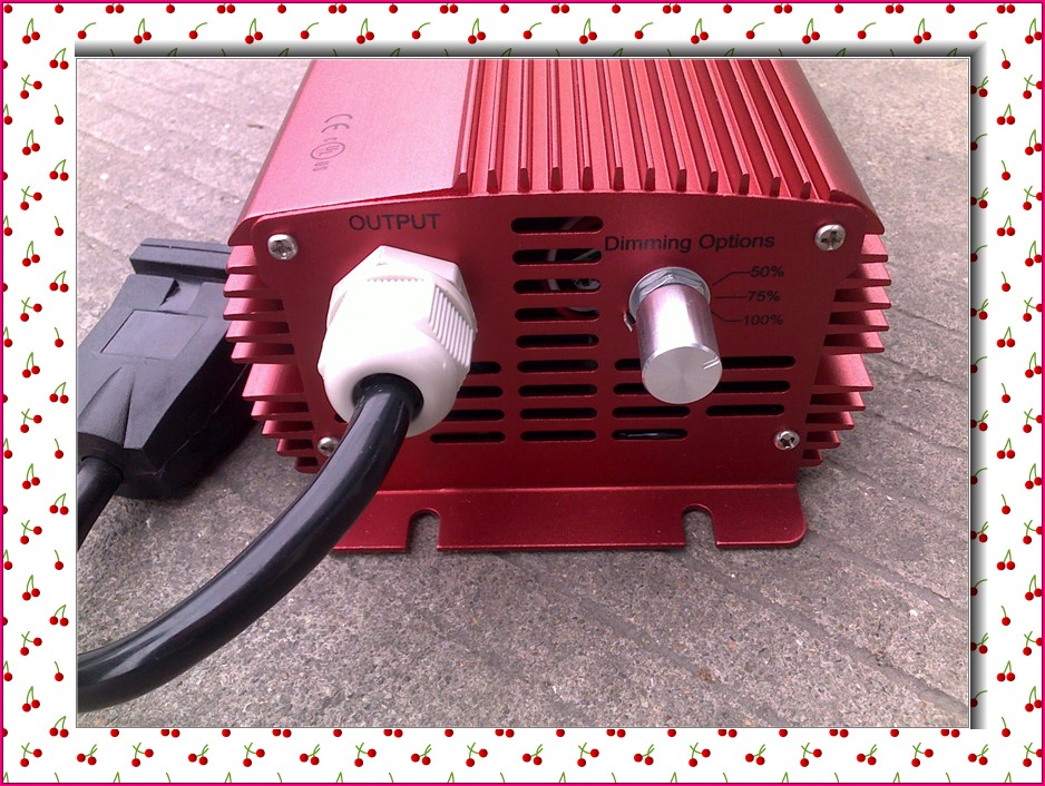 600w dimming hps/mh digital ballast