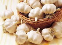 Garlic extract