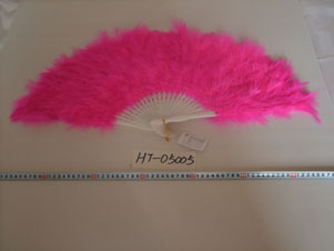 Feather Fan