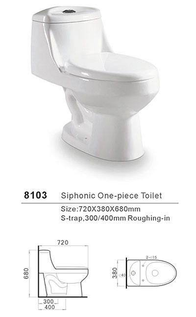 NEWTANG Siphonic One-piece closet(Toilet) No:8103