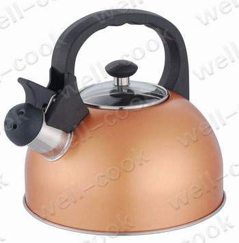 Stainless Steel Kettle