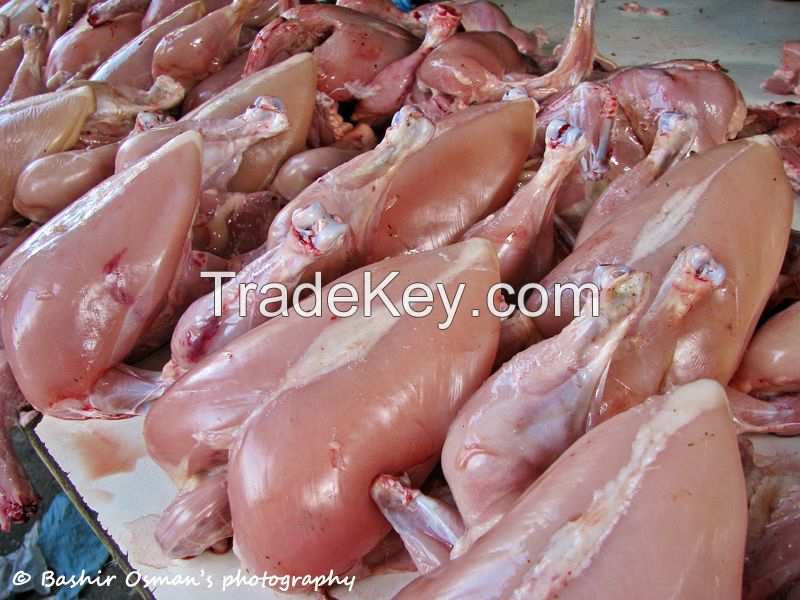 Chicken Meat and Live Hen