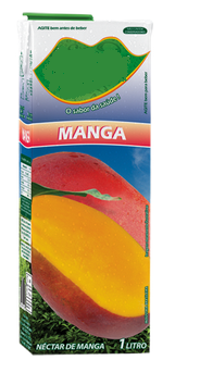 Mango Juice fruit