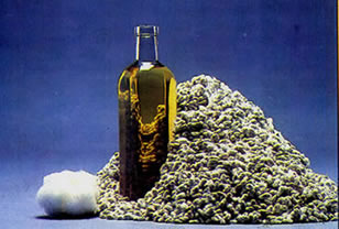 Cotton Seed Oil