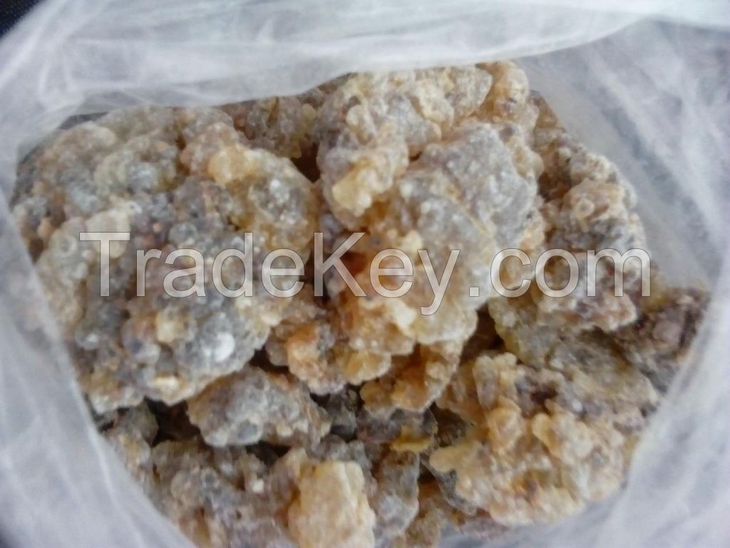 Frankincense and Myrrh gum resins