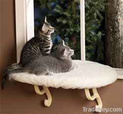 Newest Pet Products at Discounted Prices