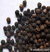 Black Peper Extract