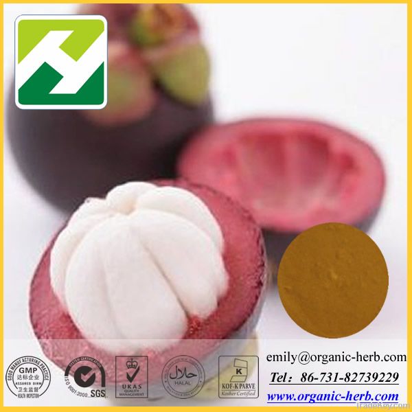 Mangosteen Extract