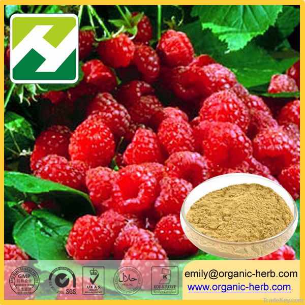 Raspberry extract ketone