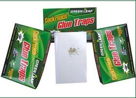 cockroach glue trap