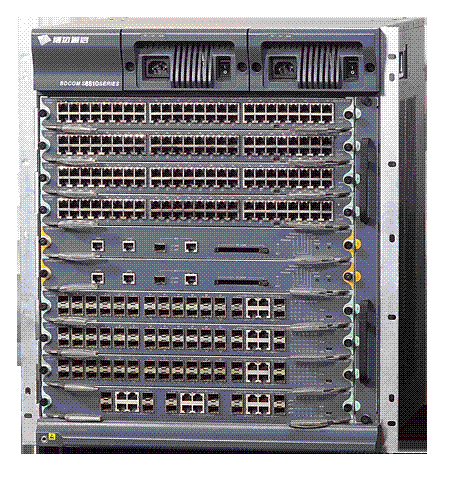 Large Network Backbone Switch