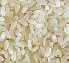 Rice Supplier| Rice Exporter | Rice Manufacturer | Rice Trader | Rice Buyer | Rice Importers | Import Rice