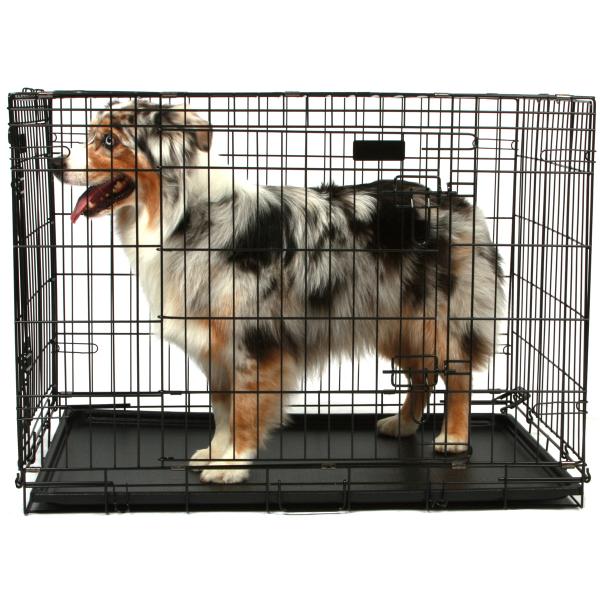 dog cage