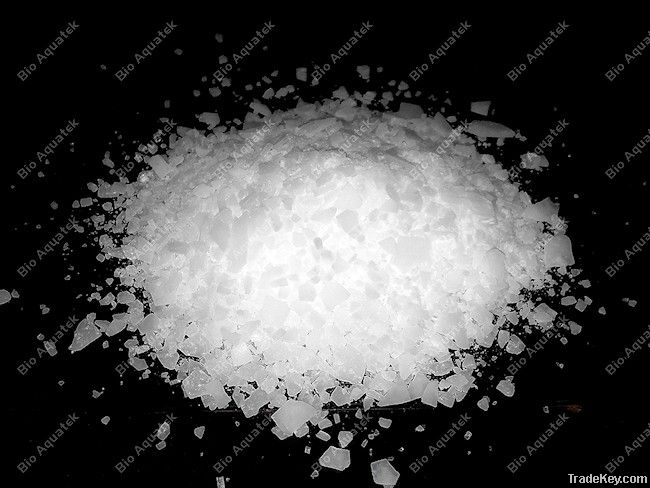 Magnesium Chloride Hexahydrate