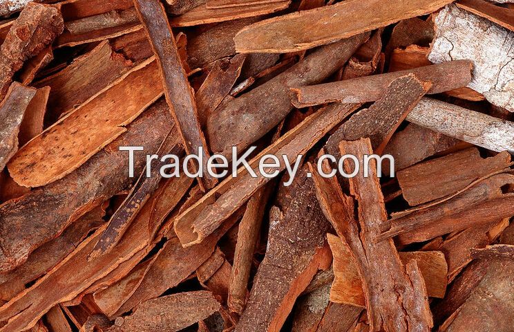 low price and Qualitied broken Cassia Bark/Cinnamon broken/ cassia Presl bark with black five discount in China