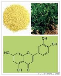 Luteolin