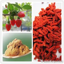 Wolfberry extract