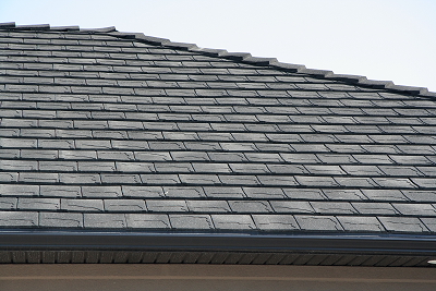 EnDur Roofing System