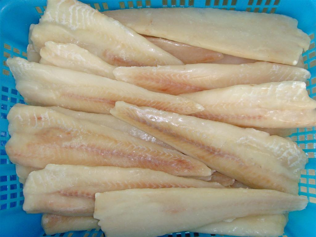 pollock fillets