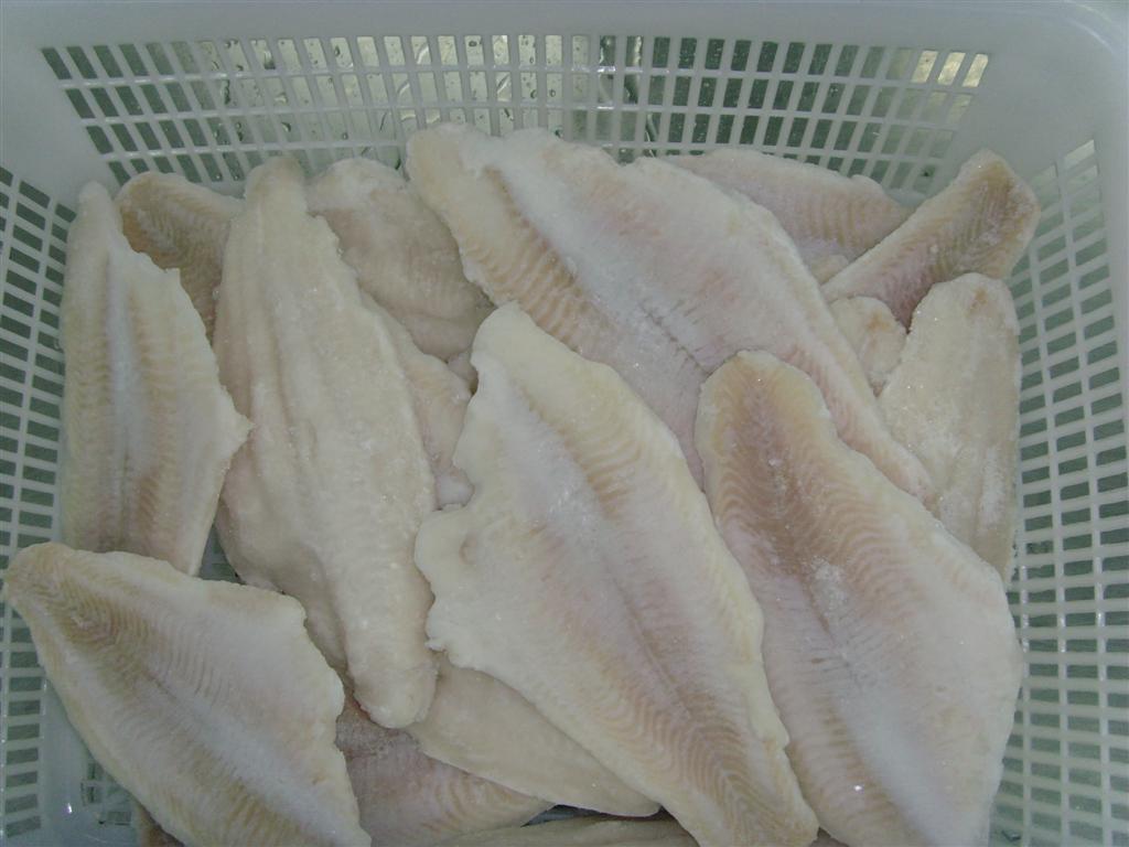 catfish fillets