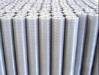 Galvanized Welded Wire Mesh