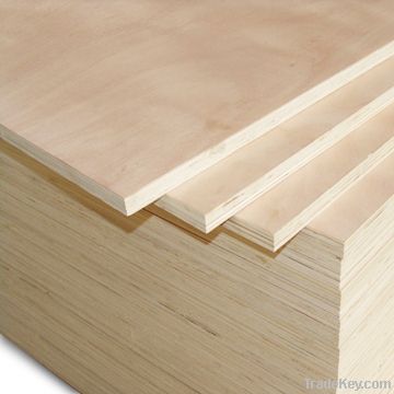 poplar plywood for furniture